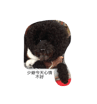 a-bo（個別スタンプ：8）