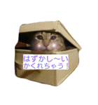 かぎしっぽの猫娘“テト”のスタンプ（個別スタンプ：9）