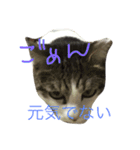 razusuta（個別スタンプ：2）