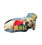 Amy in your heart（個別スタンプ：1）