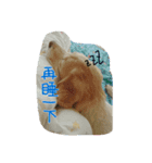 Amy in your heart（個別スタンプ：2）