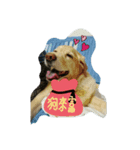 Amy in your heart（個別スタンプ：6）