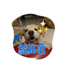 Amy in your heart（個別スタンプ：8）