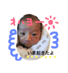 はるまくんの毎日（個別スタンプ：12）
