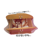 ミニピンファムと娘達（個別スタンプ：5）