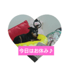 ミニピンファムと娘達（個別スタンプ：6）