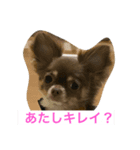 princess Mocha（個別スタンプ：1）
