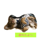 princess Mocha（個別スタンプ：4）