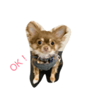 princess Mocha（個別スタンプ：5）