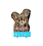 princess Mocha（個別スタンプ：6）