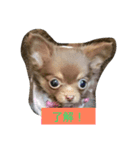 princess Mocha（個別スタンプ：8）