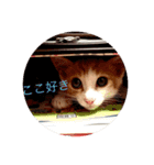 そらりんちょ（個別スタンプ：1）