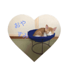 そらりんちょ（個別スタンプ：4）