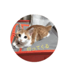 そらりんちょ（個別スタンプ：7）