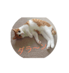 そらりんちょ（個別スタンプ：8）