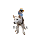 柴犬 大福の日常part2（個別スタンプ：3）