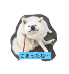hana part2（個別スタンプ：8）