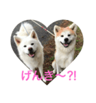 hana part2（個別スタンプ：18）