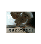 結愛・モコ（個別スタンプ：6）