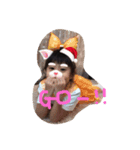 みうえいと（個別スタンプ：5）