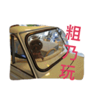 Tomoyo's DOGS（個別スタンプ：12）
