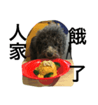 Tomoyo's DOGS（個別スタンプ：18）