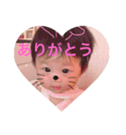 しゅうちゃんstamp（個別スタンプ：7）