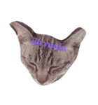lovely thaicat（個別スタンプ：11）