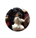 リリー犬2（個別スタンプ：9）