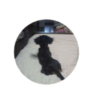 リリー犬2（個別スタンプ：15）