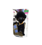 Black Dog Brother（個別スタンプ：2）