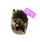 Black Dog Brother（個別スタンプ：3）