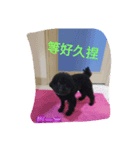 Black Dog Brother（個別スタンプ：4）