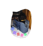 Black Dog Brother（個別スタンプ：5）