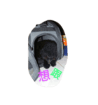 Black Dog Brother（個別スタンプ：6）