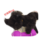 Black Dog Brother（個別スタンプ：8）