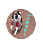 akiuさんちの愉快な仲間達（個別スタンプ：5）