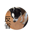 akiuさんちの愉快な仲間達（個別スタンプ：8）