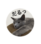 akiuさんちの愉快な仲間達（個別スタンプ：20）