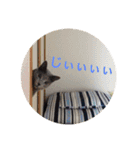 akiuさんちの愉快な仲間達（個別スタンプ：23）