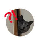 akiuさんちの愉快な仲間達（個別スタンプ：25）