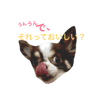 ココアと時々猫と兎（個別スタンプ：9）