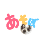 ココアと時々猫と兎（個別スタンプ：17）