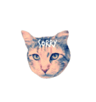 ココアと時々猫と兎（個別スタンプ：24）