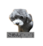 ふーたん0524（個別スタンプ：4）