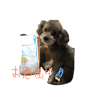 ふーたん0524（個別スタンプ：5）