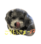 ふーたん0524（個別スタンプ：6）