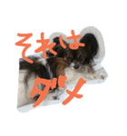 hime-0904（個別スタンプ：8）