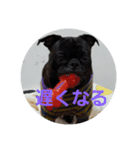 クロノスタンプ（個別スタンプ：5）
