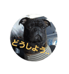 クロノスタンプ（個別スタンプ：7）